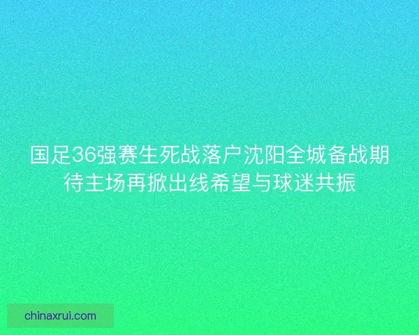 国足36强赛生死战落户沈阳全城备战期待主场再掀出线希望与球迷共振
