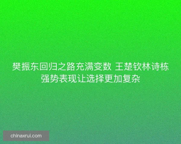 樊振东回归之路充满变数 王楚钦林诗栋强势表现让选择更加复杂